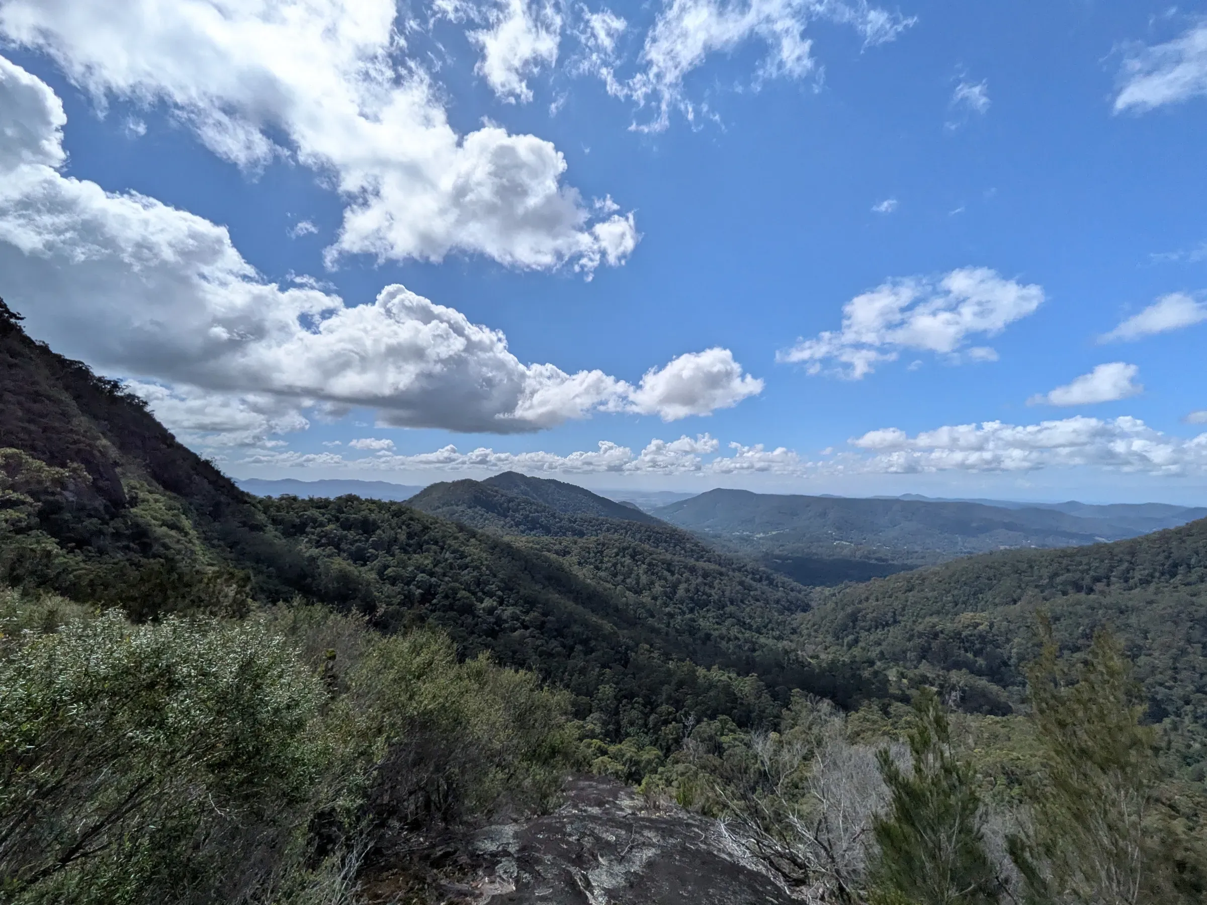 Wollumbin, seen east across the property